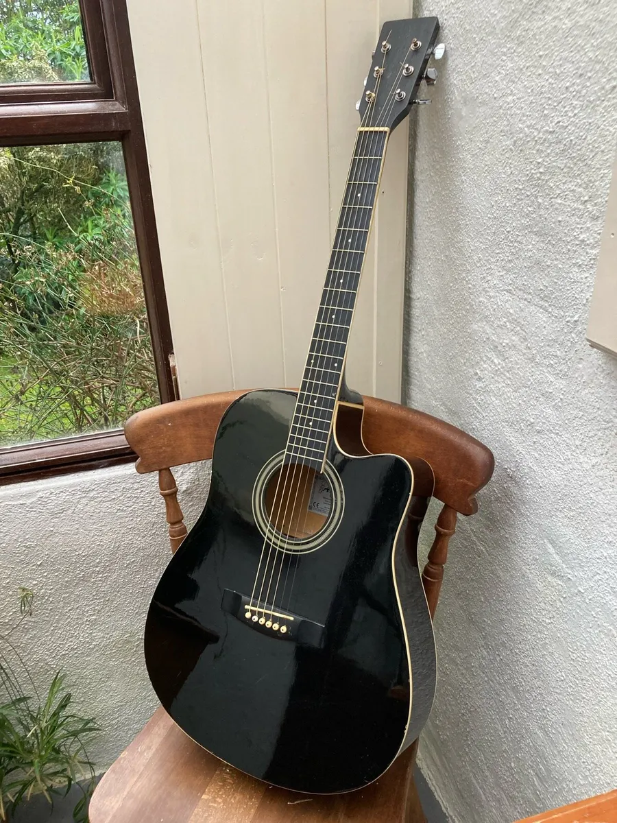 Axman 67280 Electro Acoustic - Image 1