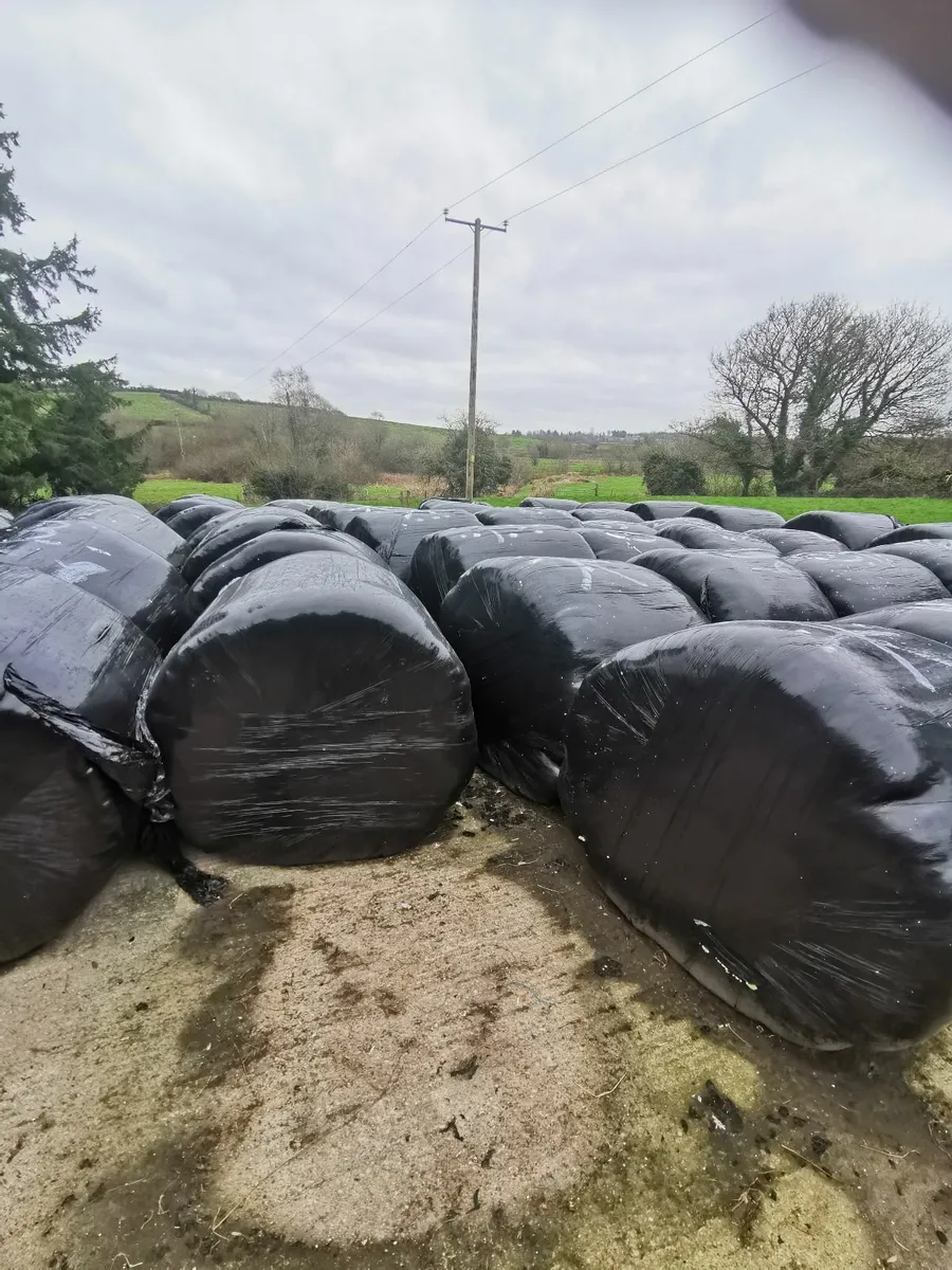 Silage bales - Image 1