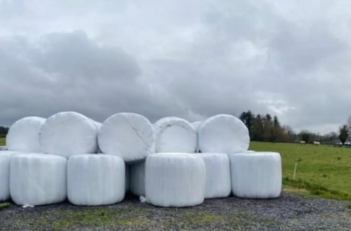 Silage for sale - Image 2