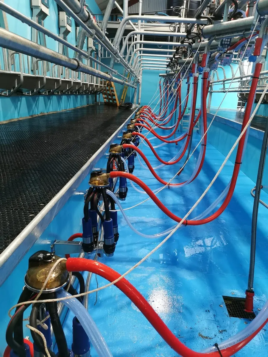 Milking machines equipment, feeders etc - Image 4