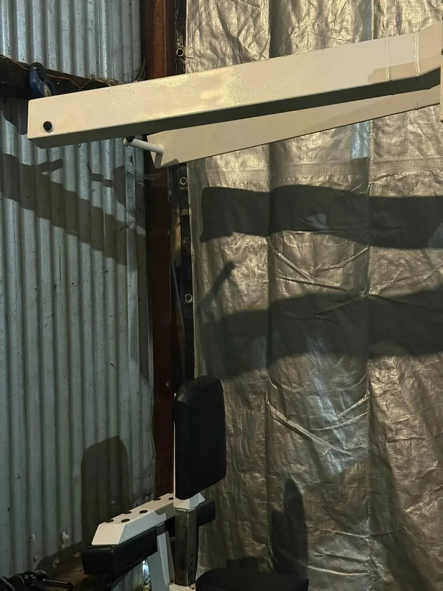 Heavy Duty Plate-Loaded Iso-Lateral High Row - Image 4