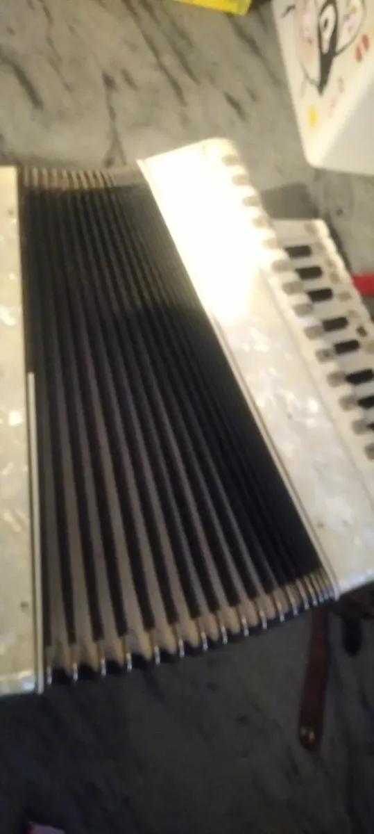 Piano accordion 🪗 read add price too sell - Image 3