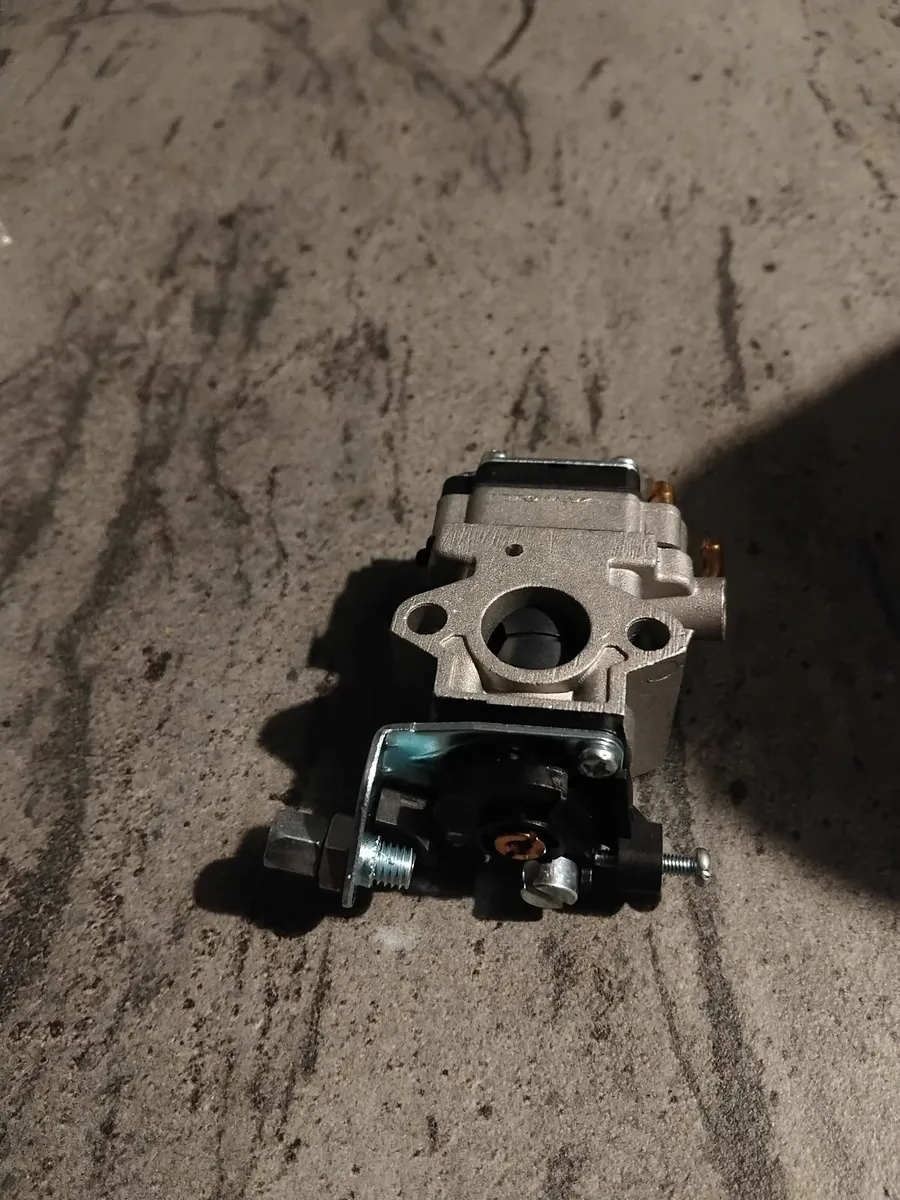 New carburettor for grass strummers hedge - Image 3