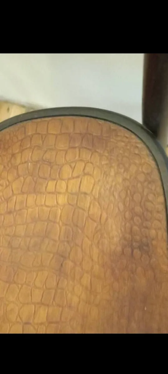 fischel crocodile design chair - Image 4