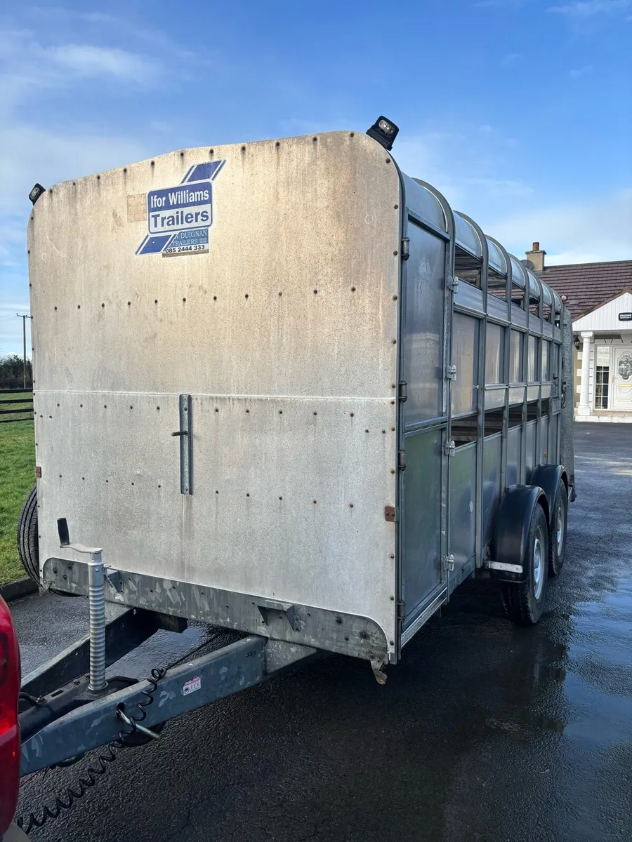 Factory made cattle / sheep trailer - Image 1
