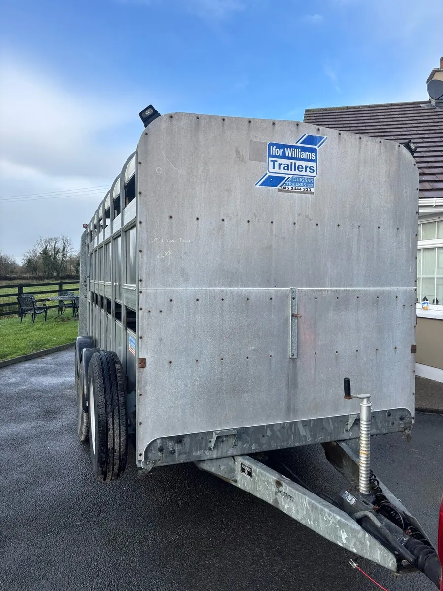 Factory made cattle / sheep trailer - Image 2