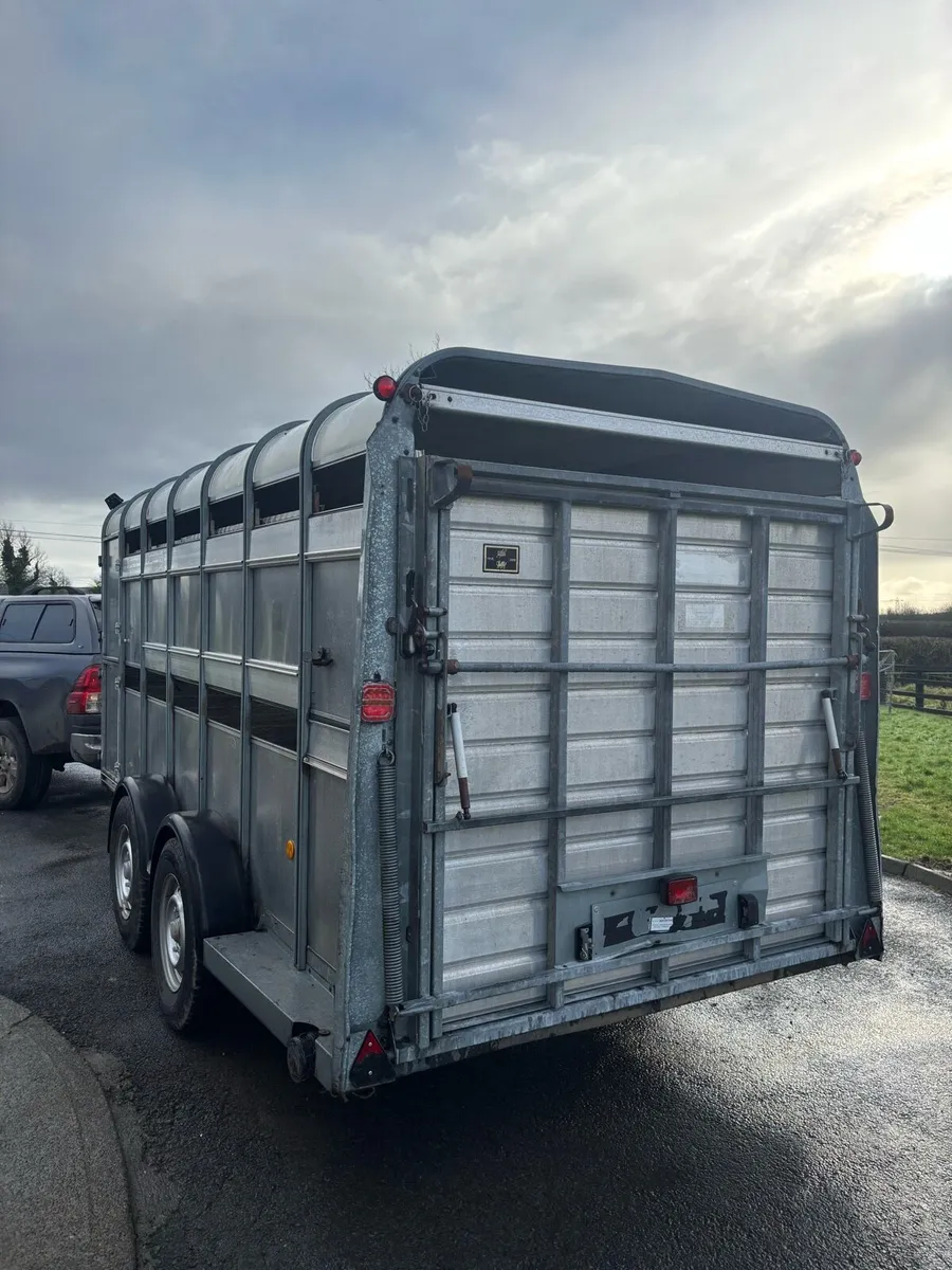 Factory made cattle / sheep trailer - Image 3