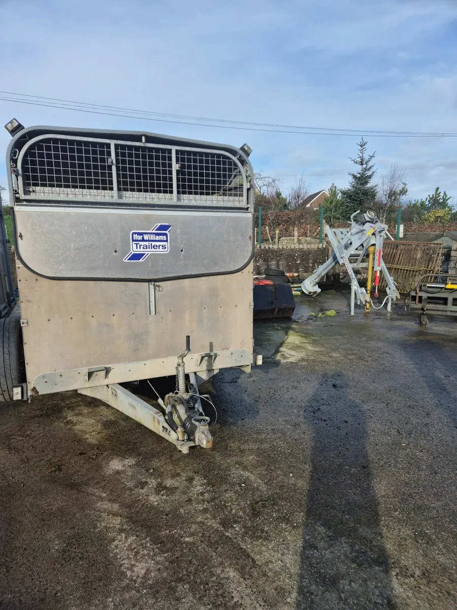 I4ft Ivor Williams Livestock trailer - Image 4
