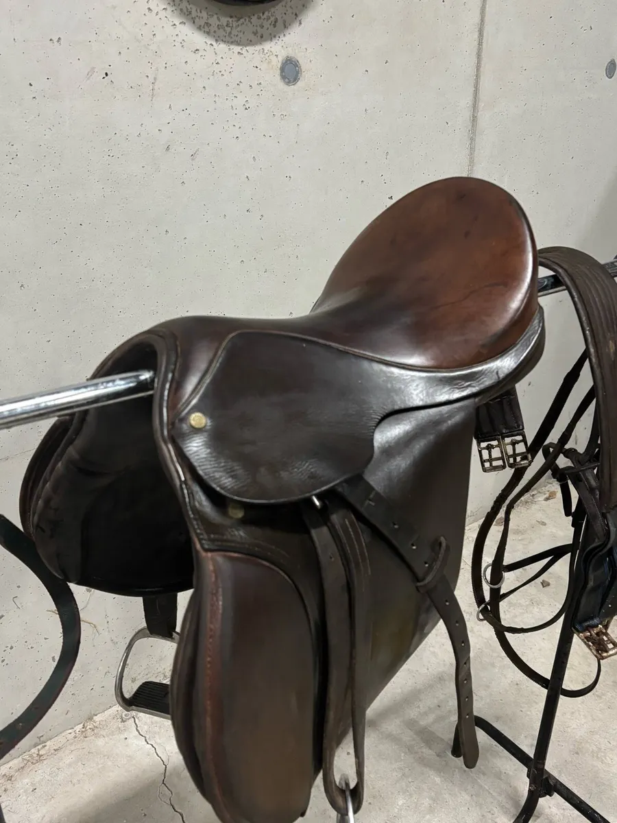 Berney Bros saddle and gear - Image 1