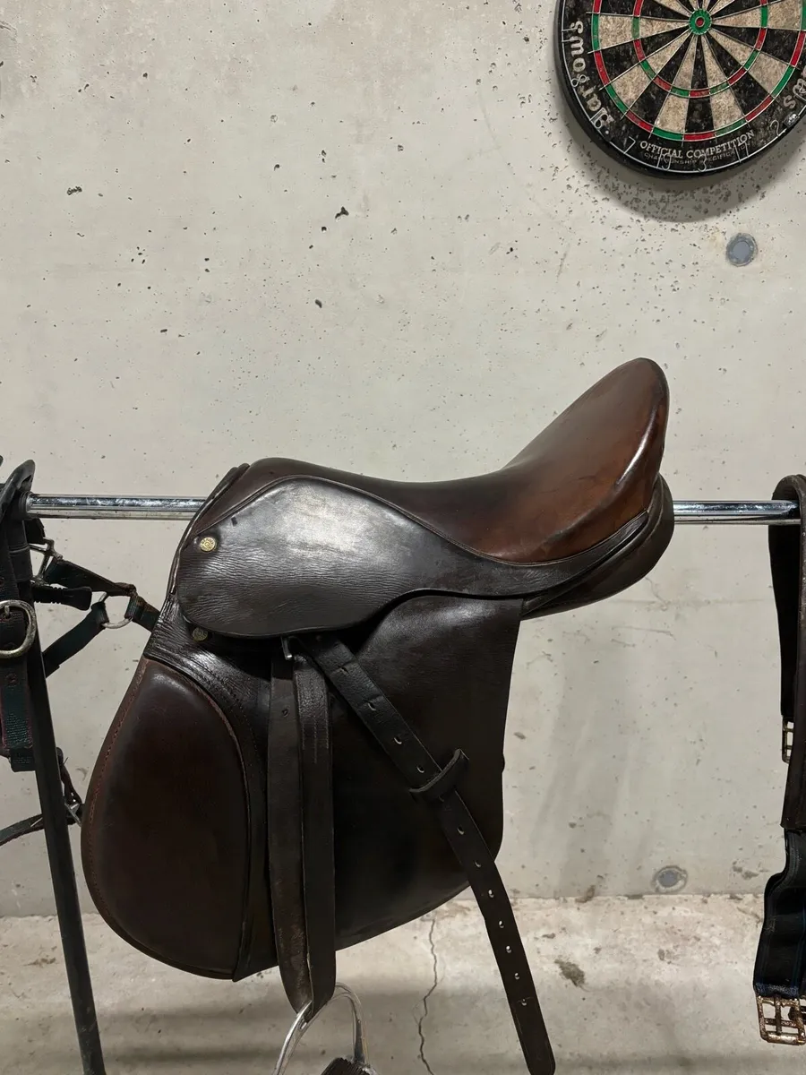 Berney Bros saddle and gear - Image 2