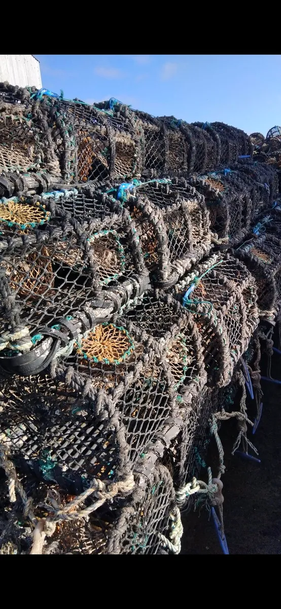 Lobster/Crab pots - Image 1