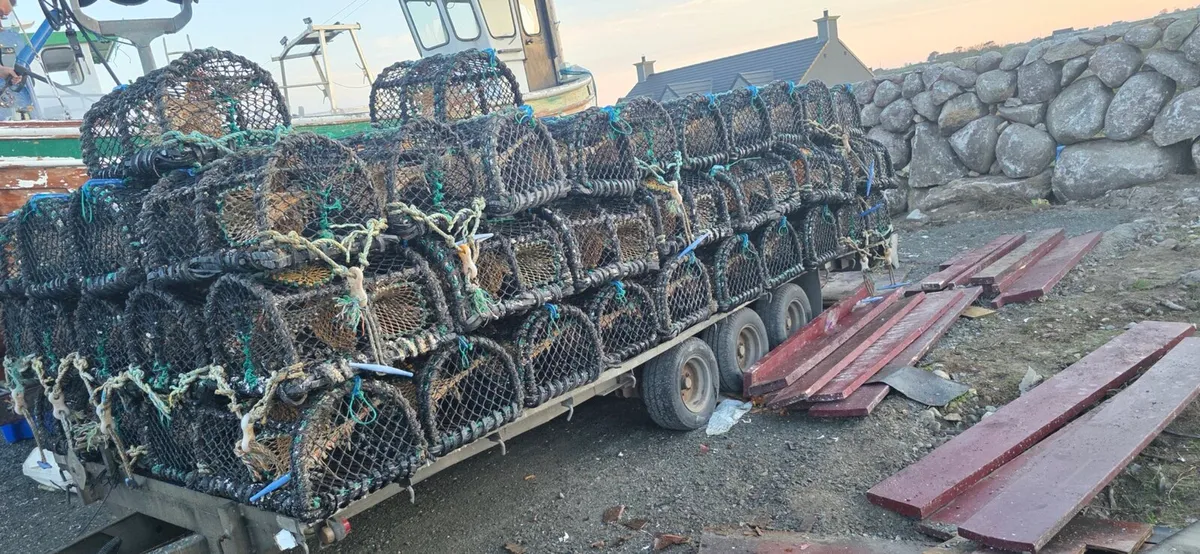 Lobster/Crab pots - Image 2