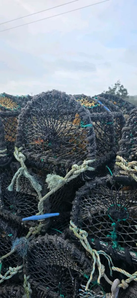 Lobster/Crab pots - Image 3