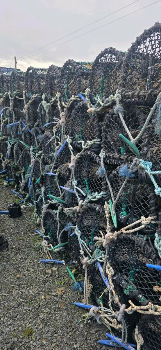 Lobster/Crab pots - Image 4