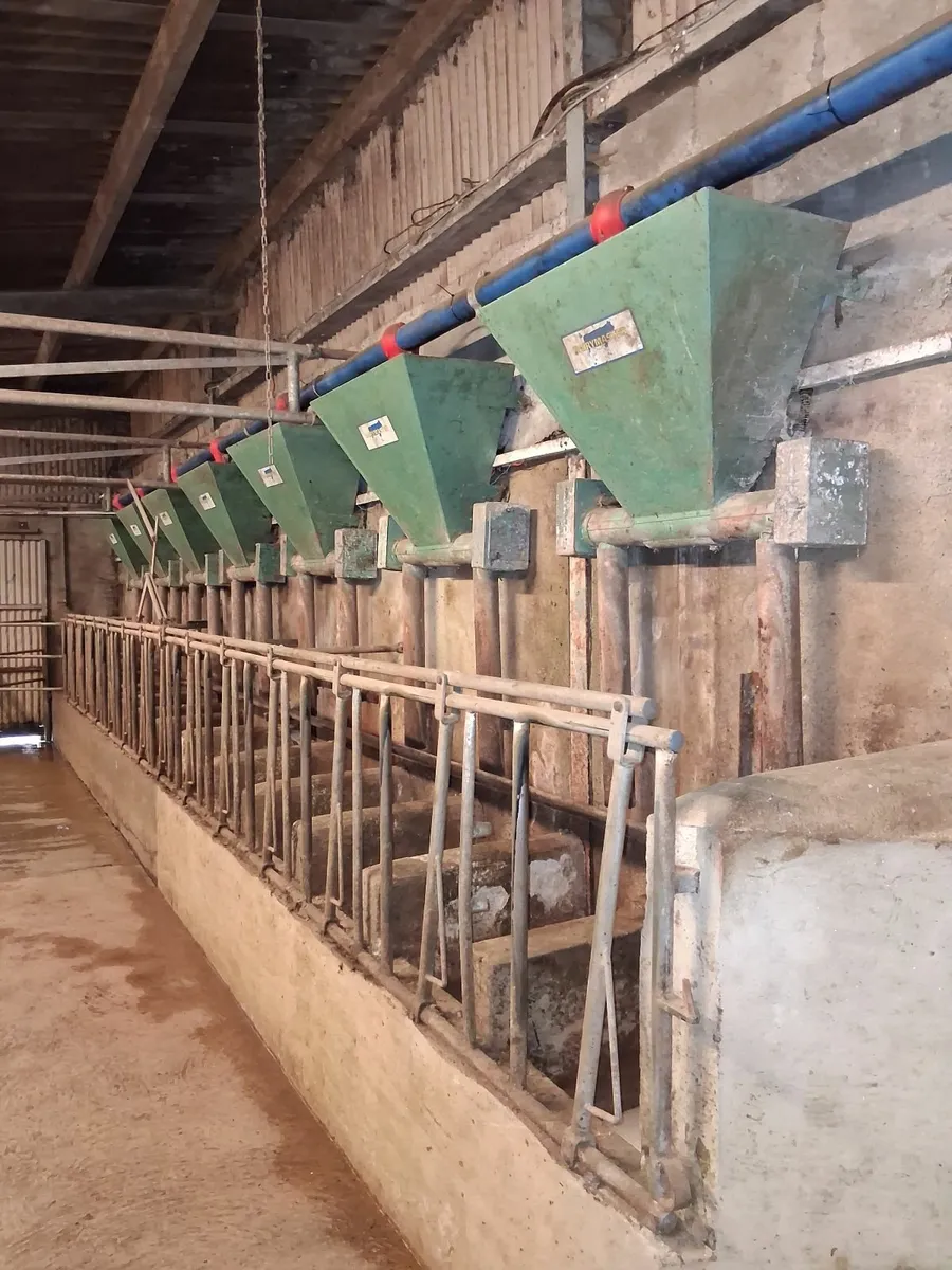 Dairymaster milking parlour feeders - Image 1