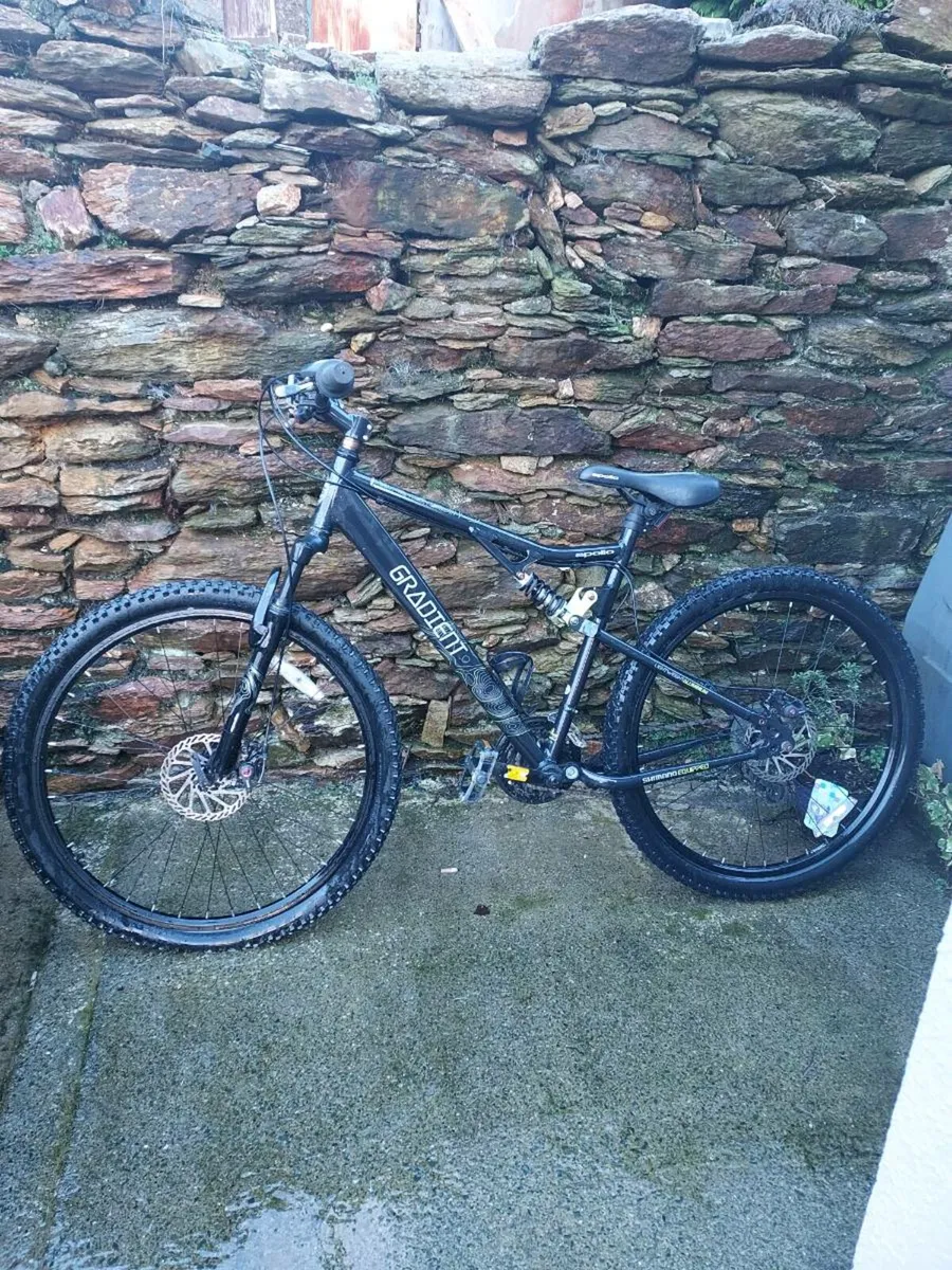 Mountain bike - Image 1