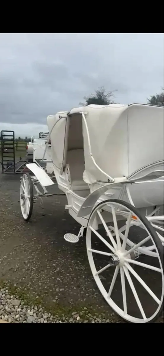 viz a viz horse carrage - Image 1