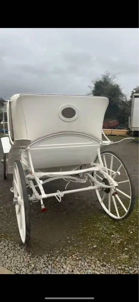 viz a viz horse carrage - Image 2