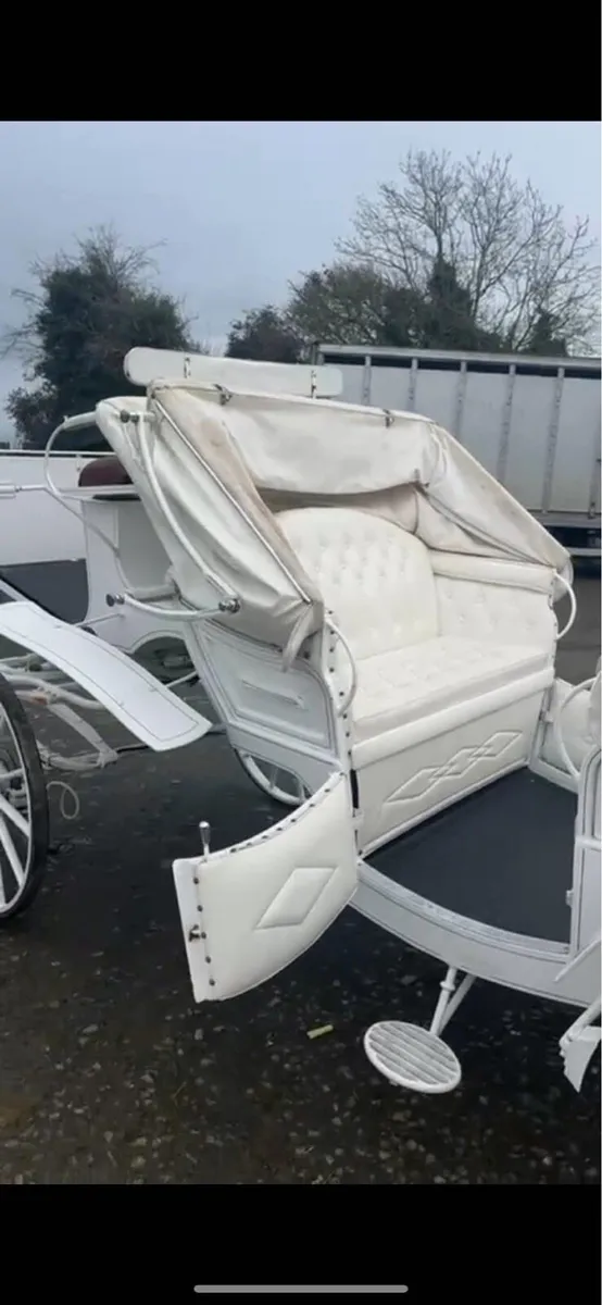 viz a viz horse carrage - Image 3