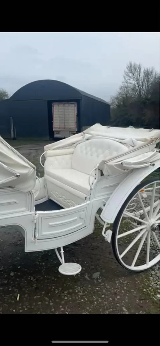 viz a viz horse carrage - Image 4