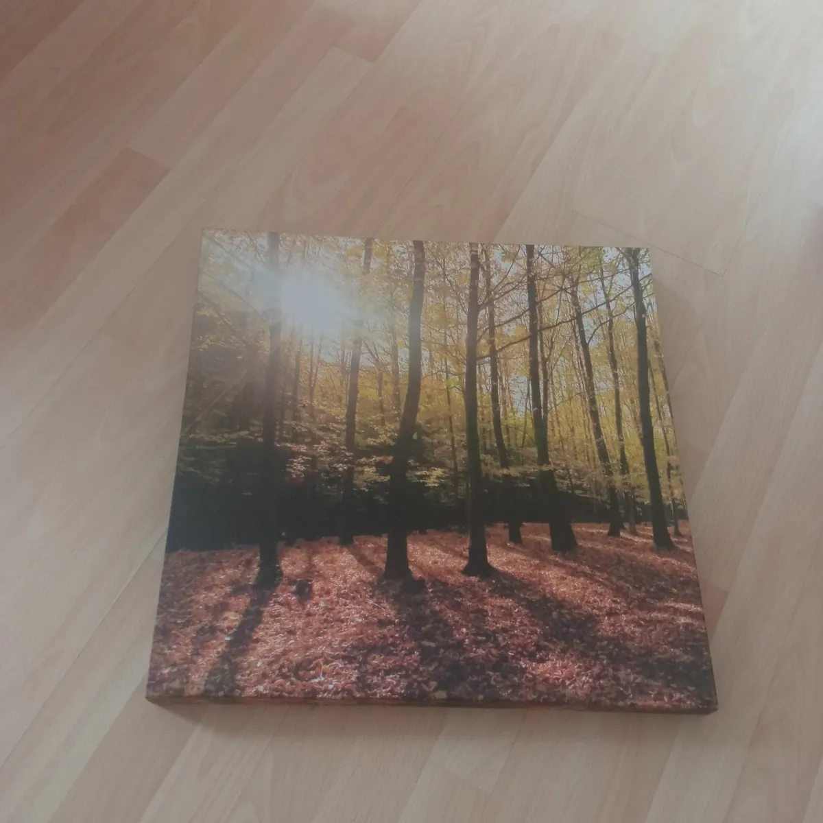 Canvas Picture - Image 1