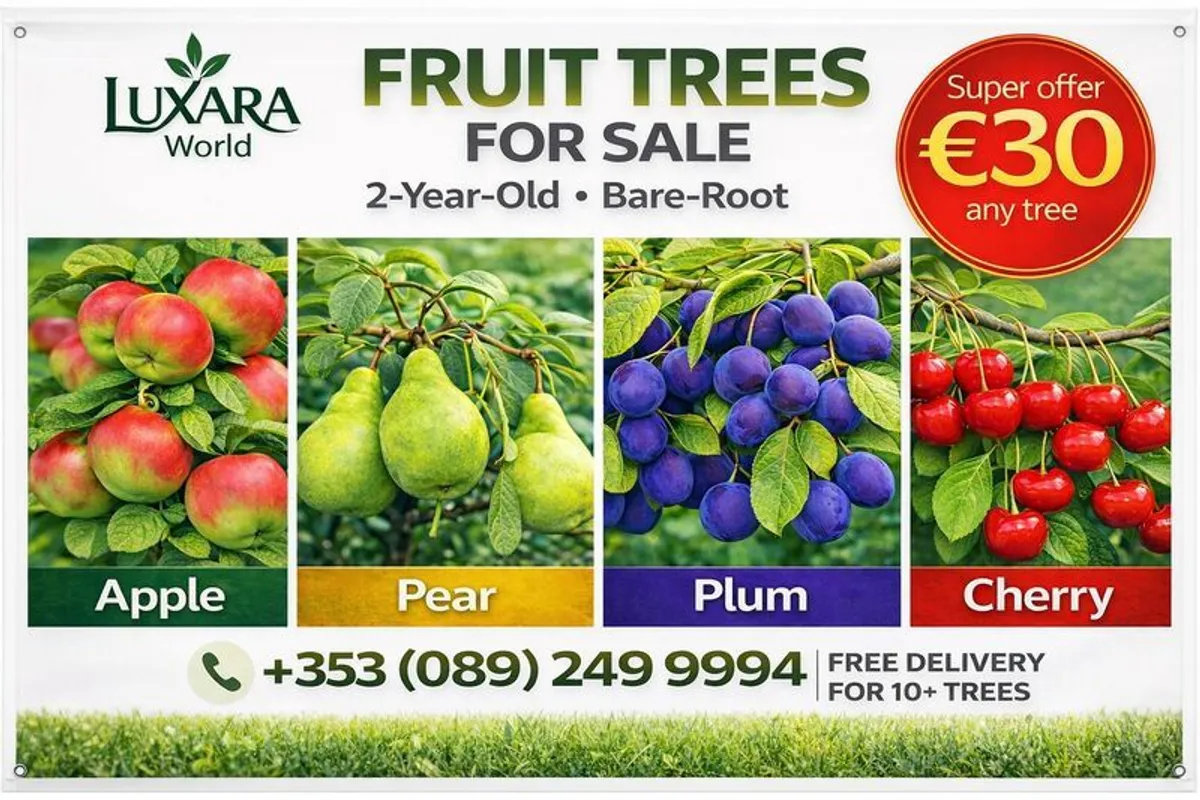 Fruit trees, 2 years old, 2 meters - Image 1