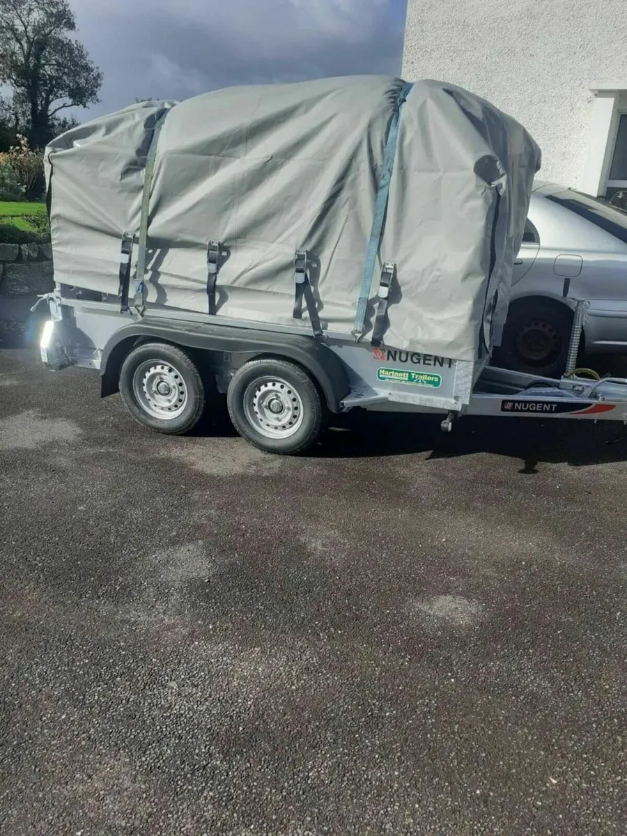 Organic Combi-Crop(Oats, Peas, Barley) - Image 4