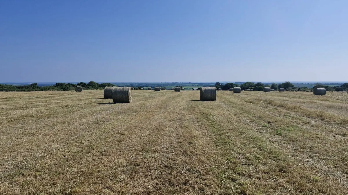 Straw & Hay - Image 1