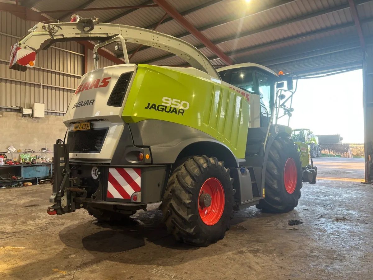 Claas jaguar 950 - Image 3