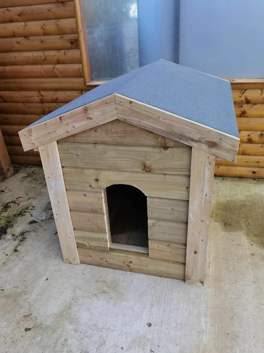 For sale / large size - Image 3