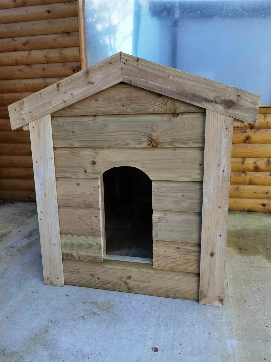 For sale / large size - Image 1