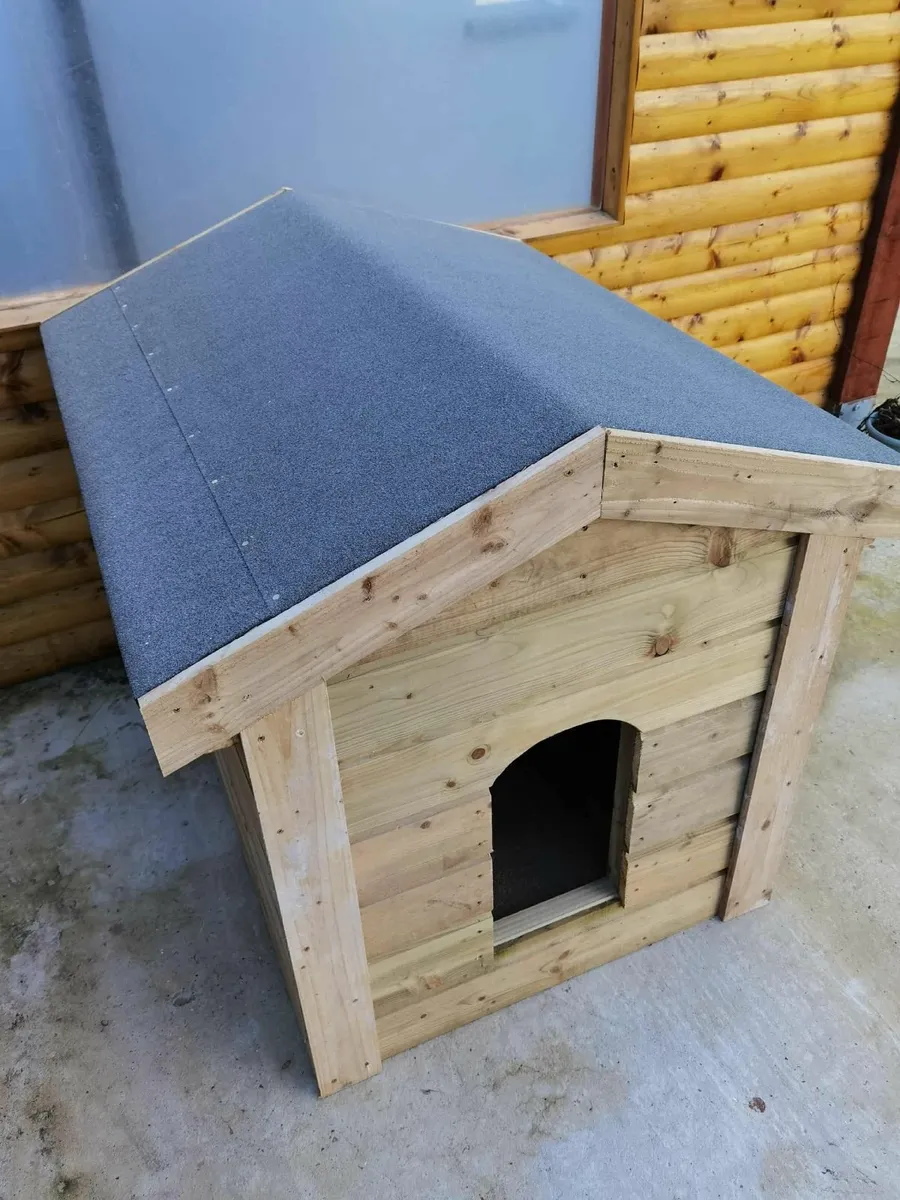 For sale / large size - Image 2