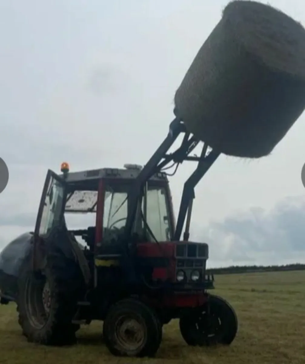 International 585XL - Image 3