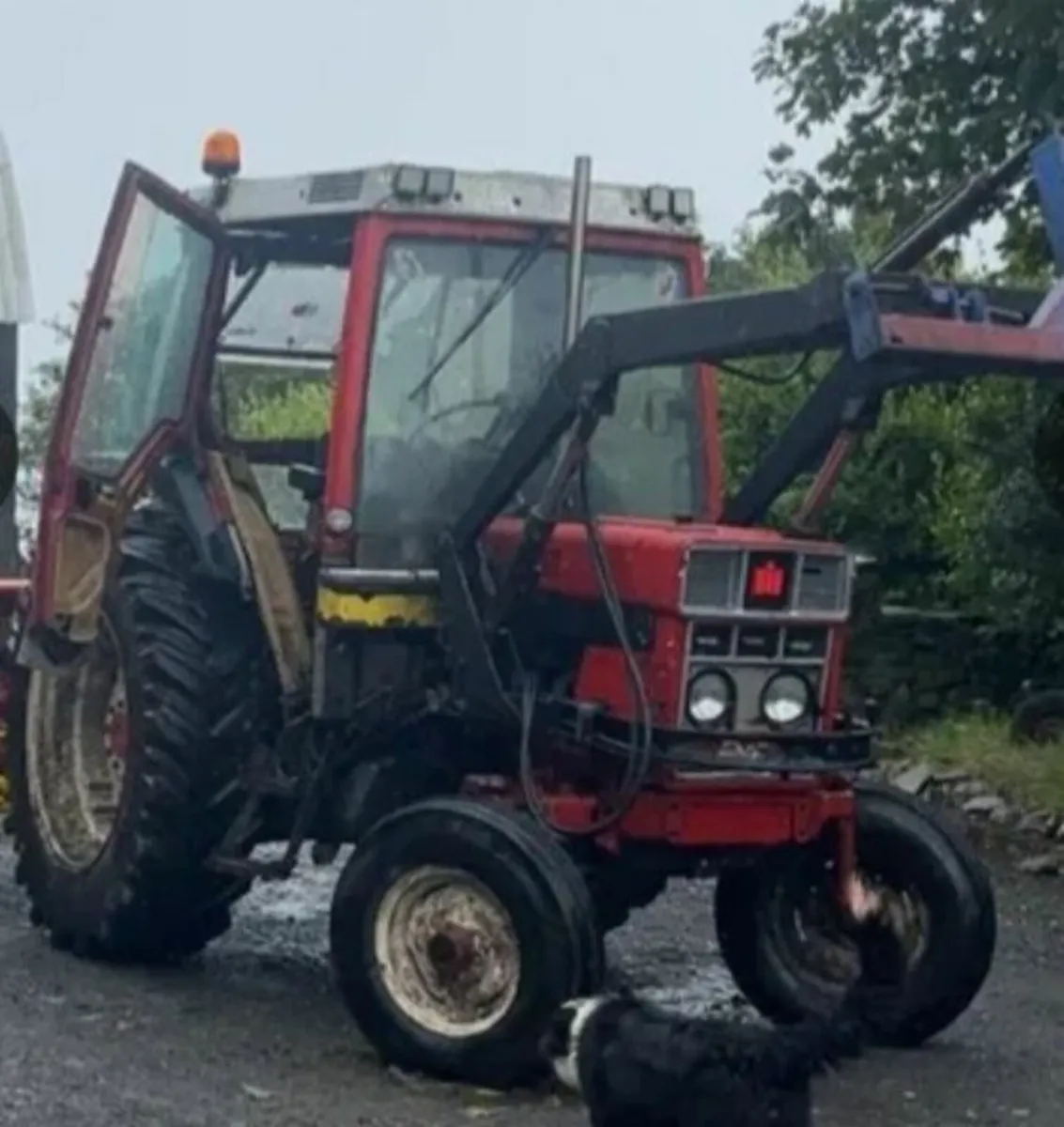 International 585XL - Image 1