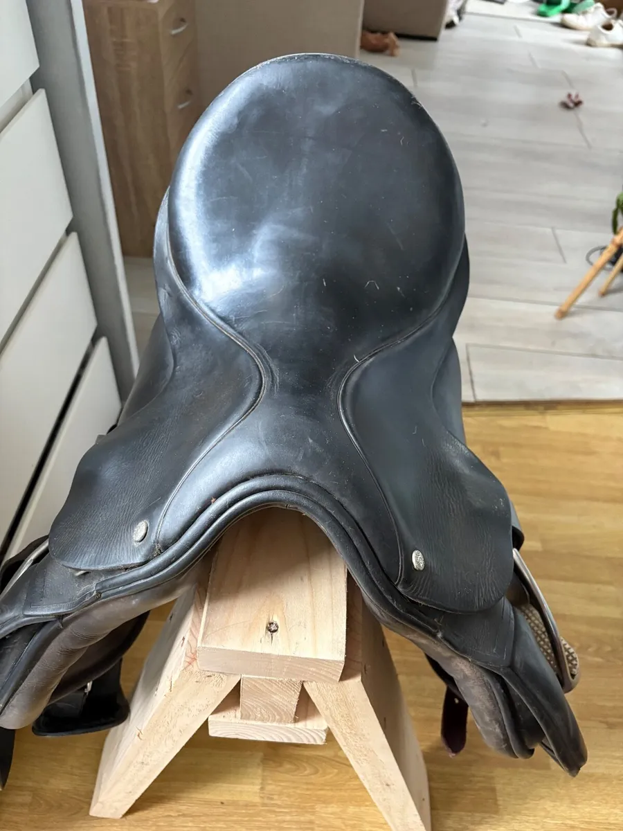 Saddles for sale and saddle fitting - Image 3