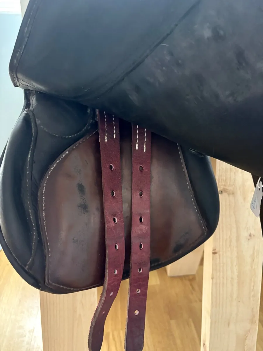 Saddles for sale and saddle fitting - Image 2
