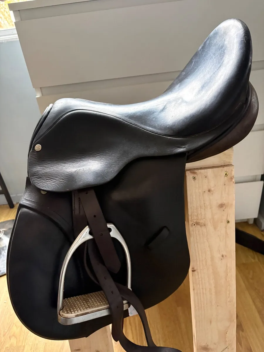 Saddles for sale and saddle fitting - Image 1