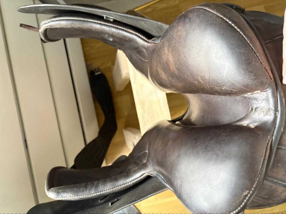Saddles for sale and saddle fitting - Image 4
