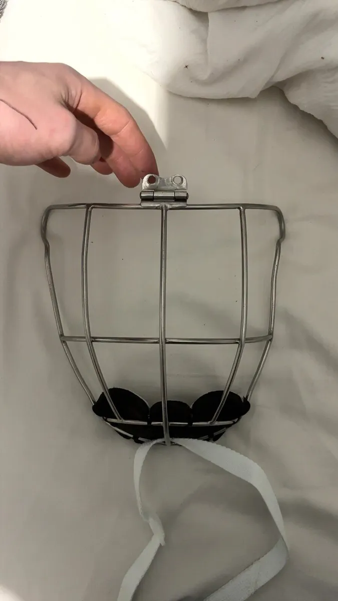 Oldstyle fits guard and a wide hinge guard - Image 2