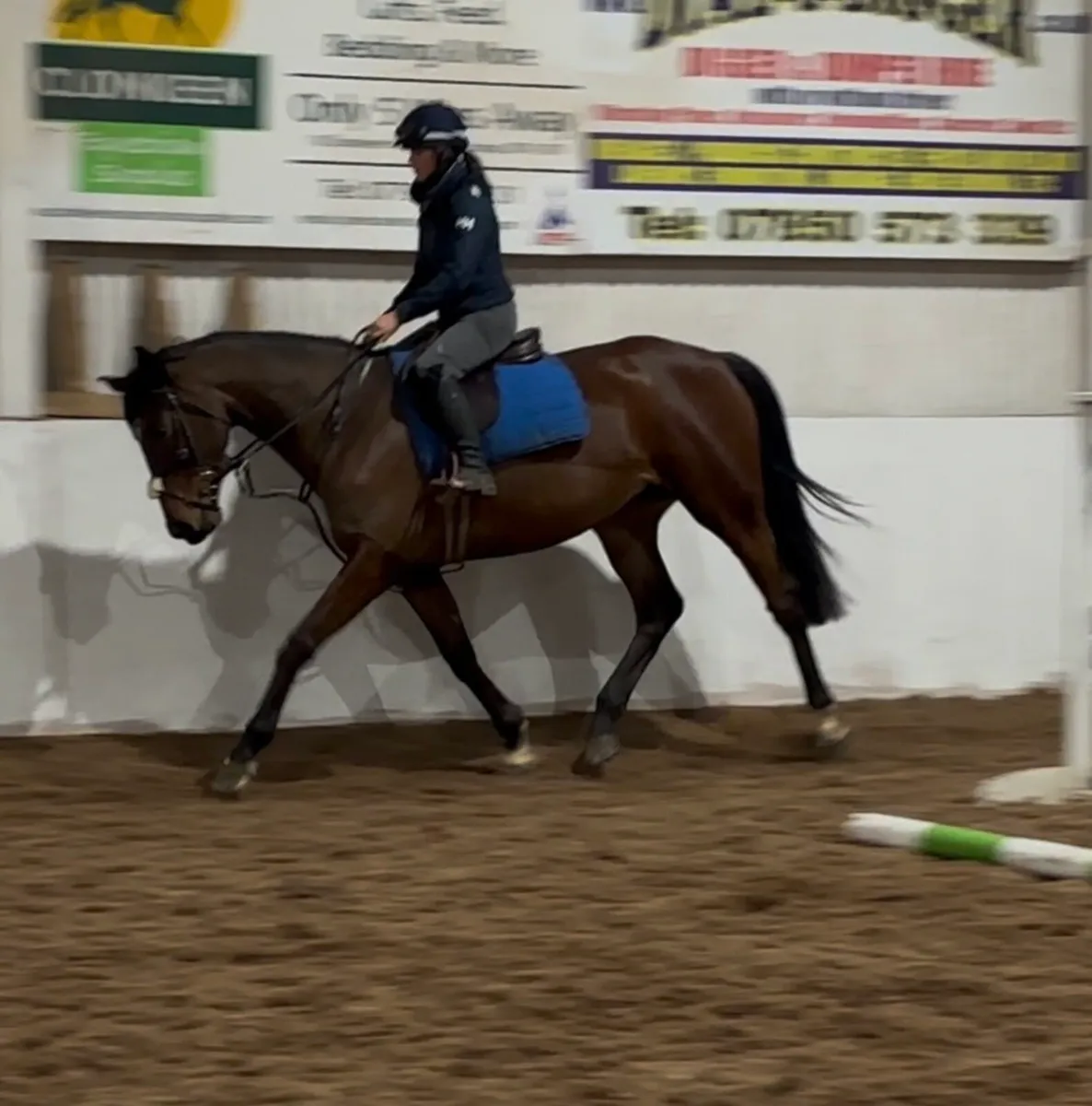 Allrounder - Image 2