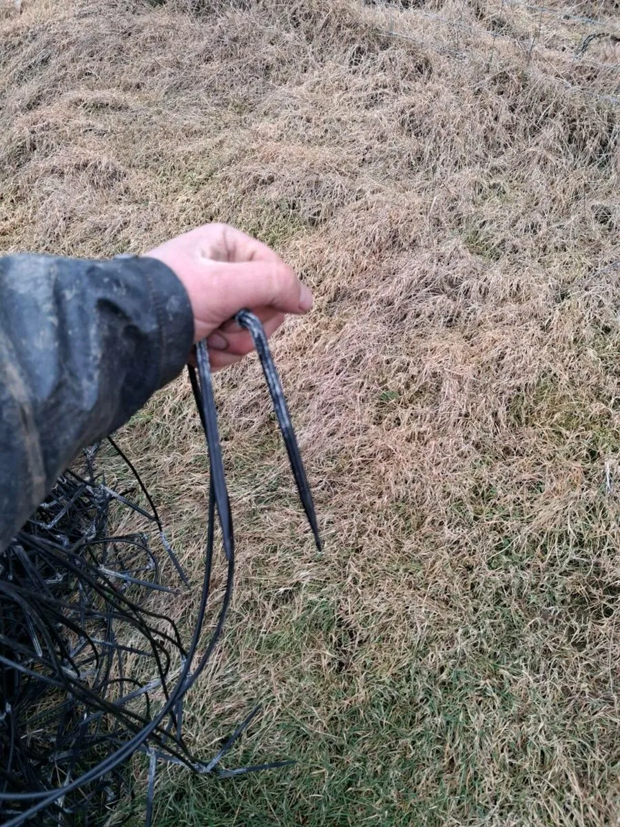 Irrigation drip lines - Image 3