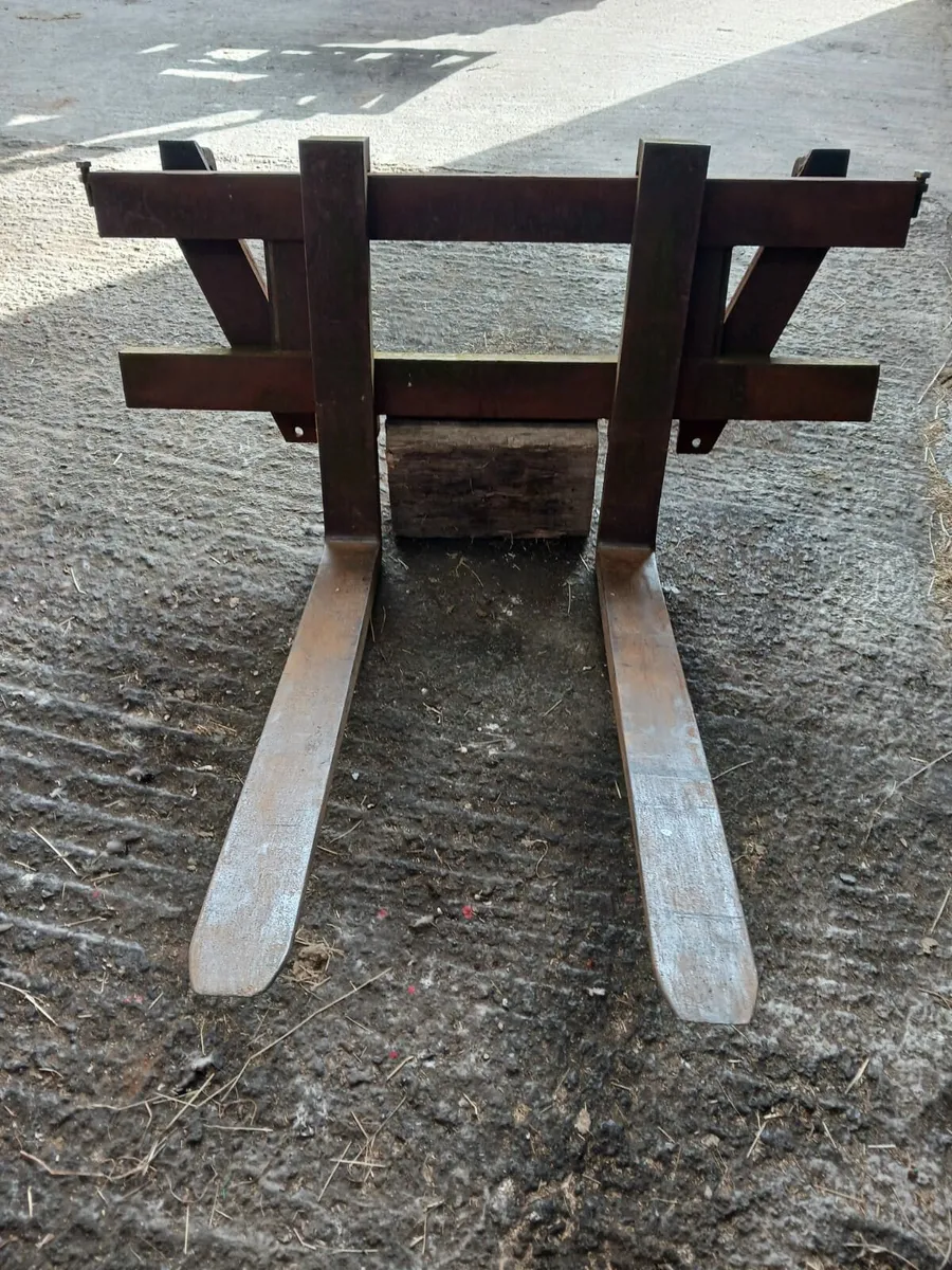 Pallet Forks - Image 1