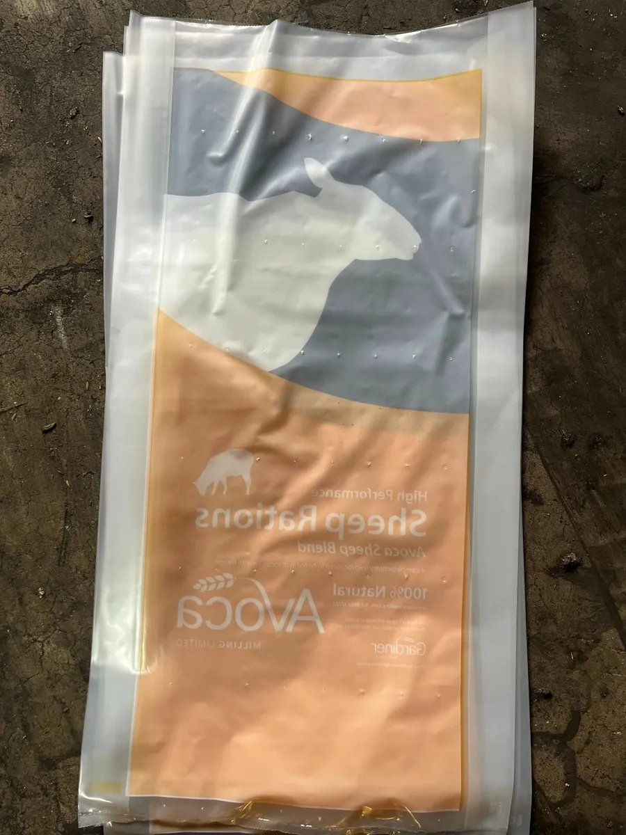 Empty Bags - Image 2