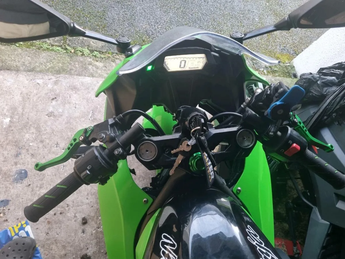 Ninja 250sl - Image 2