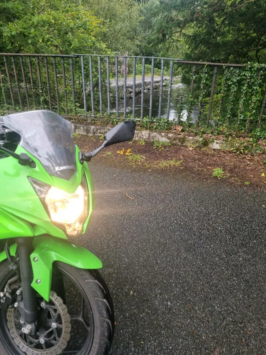 Ninja 250sl - Image 3