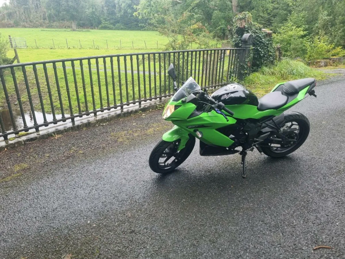 Ninja 250sl - Image 4
