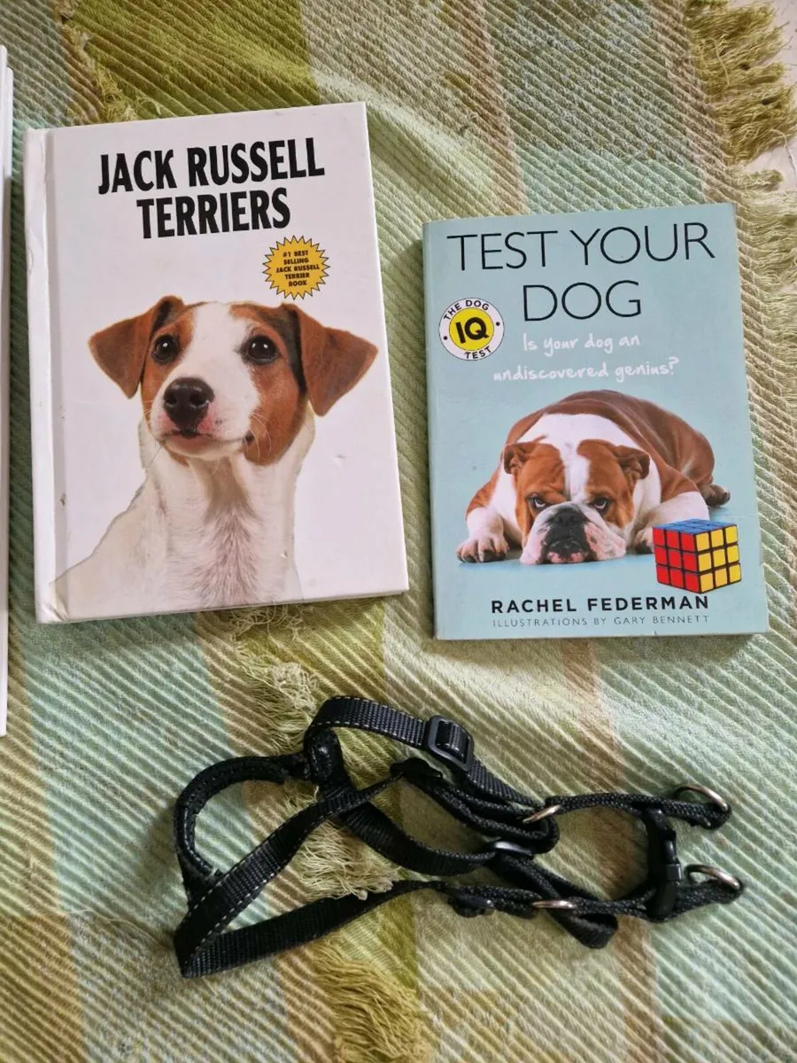 Pet section dog items. - Image 3