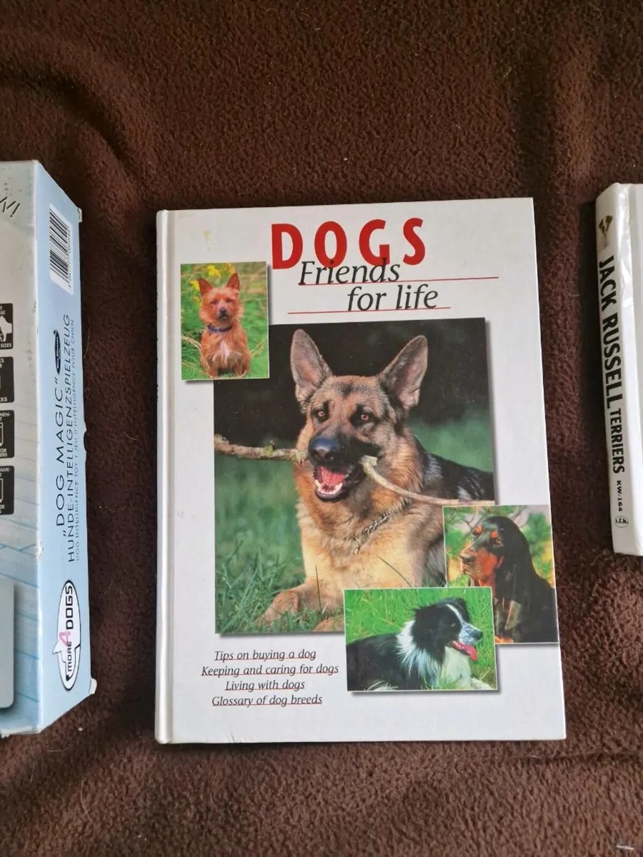 Pet section dog items. - Image 4