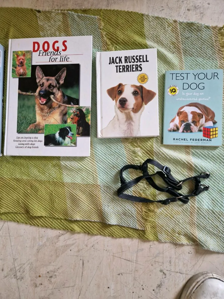 Pet section dog items. - Image 4
