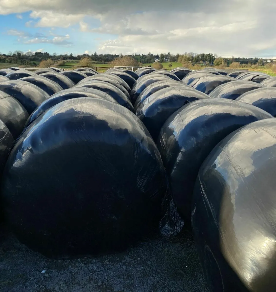 35 Silage bales- Drimoleague Area - Image 2